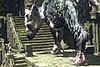 The Last Guardian: Konzeptbilder zum Action-Titel-last-guardian.jpg