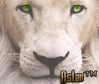 Aslan's Avatar