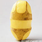 Kartoffel.'s Avatar
