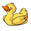 Duckies