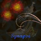 Synapsenschaden's Avatar