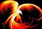 .:Phoenix:.'s Avatar