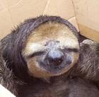 DartBane2010's Avatar