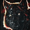 NoelMourice's Avatar