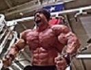 Myostatin's Avatar