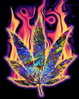 psychedelicZ's Avatar