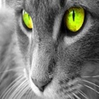 ReWritter's Avatar
