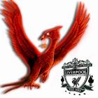 .::Robot::.'s Avatar