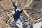 Spirited's Avatar