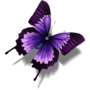 PrettyButterfly