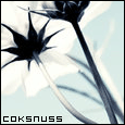 Coksnuss's Avatar