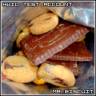 Mr.Biscuit's Avatar