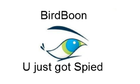 birdboon