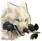 PsychotikWolf's Avatar