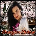 Orangen-Nektar's Avatar