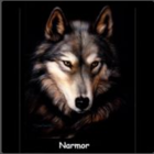 Narmor32's Avatar