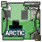 Arctic***'s Avatar