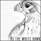 As a withe hawk's Avatar