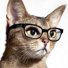 SteveEricJordan's Avatar