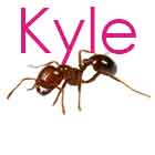 KyleMarvin's Avatar