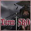 TormSRO's Avatar