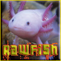 RawFish's Avatar