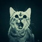 ChickenFlakes's Avatar