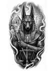 medaion's Avatar