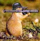 CastoroPazzo's Avatar