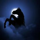 HelpingPeople's Avatar