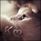 Kissenx3's Avatar