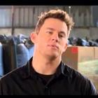 RisikoPlayer's Avatar