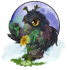 Boomnkinsnest's Avatar