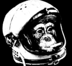 SpaceM0nk3y's Avatar