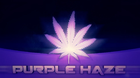 PurpleHazeKing's Avatar