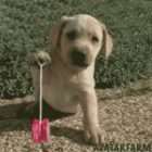 DetroitCracker's Avatar