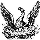 Ph�nixasche's Avatar