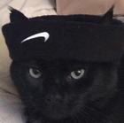 robengudness's Avatar