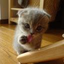 delindaa12440's Avatar