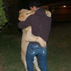 al31i's Avatar