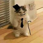FIorist's Avatar