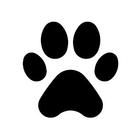 mike.toreno's Avatar