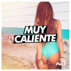 punisher075's Avatar