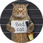 BadCatRyona