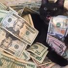 contact1337's Avatar