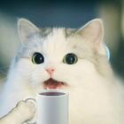 DelusionalParody's Avatar