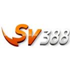 sv388llcsite's Avatar