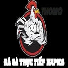 dagatructiepnapics's Avatar