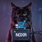 Noxa_tech's Avatar