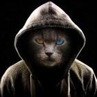 BludFire1337's Avatar